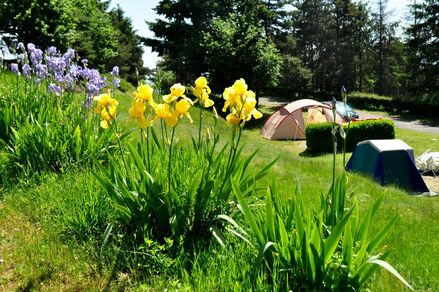 Camping Municipal de Sainte Catherine