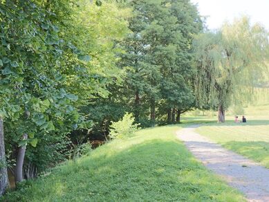 Parc des Pinasses