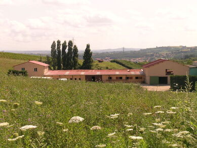 La Poneyterie, Ecole Française d'Equitation