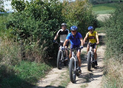 Vélos à assistance électrique