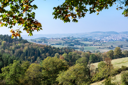 Échappée pelaude - Monts du Lyonnais - Saint-Symphorien-sur-Coise