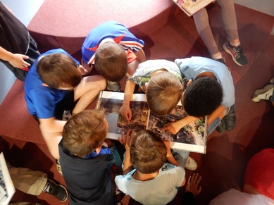 Bibliothèque municipale