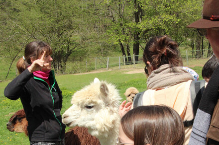 Ferme Les Lamas et Alpagas de Lafayette