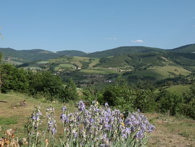 Camping Terre Ananda - Rotozan