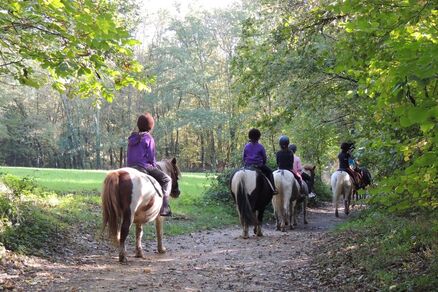 Poney Club de la Dame Blanche