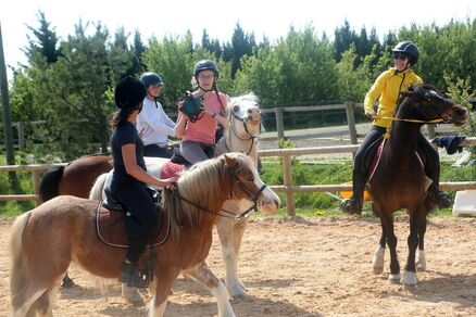 Pony gônes