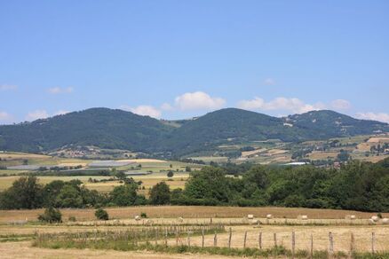 Rando santé-sport par landes et prairies