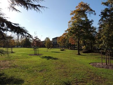Aire de pique-nique - Parc de l'Hôtel de Ville