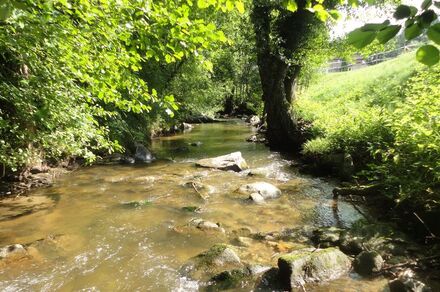 Pêche dans la vallée du Garon