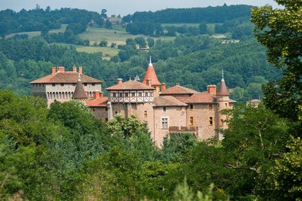 Monts du Lyonnais - La boucle du pays de Chamousset - 2.3