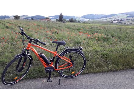Monts du Lyonnais - Le circuit de l'Argentière - Boucle 2.4