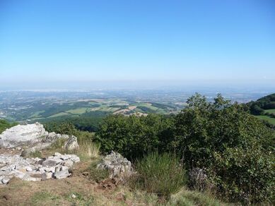 Circuit VTT 191  - Tour de Saint-André-la-Côte