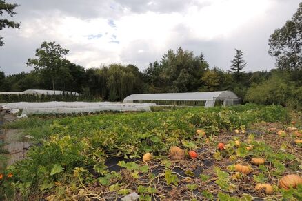 Les Jardins du Pont de chêne