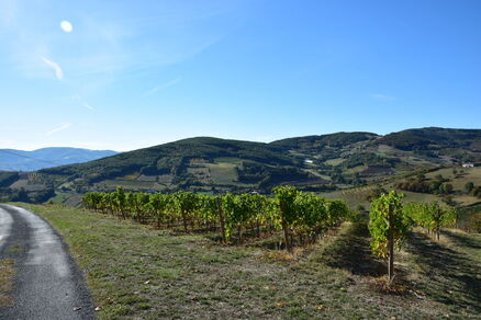 Le Panoramique