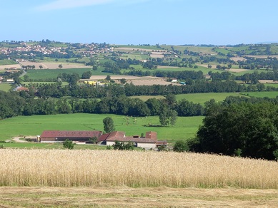 Sentier des paysages des Monts du Lyonnais