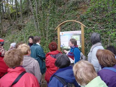 Visite commentée du sentier botanique Jean Joly (groupe)
