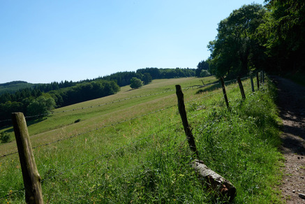 Courz'y Trail Park - Circuit n°1 : La Découverte