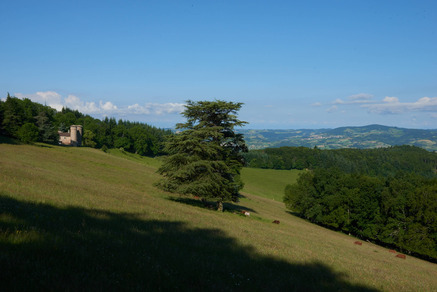 Courz'y Trail Park - Circuit n°3 : L'Entrainement