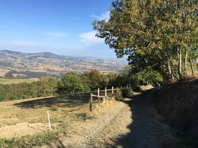 Courz'y Trail Park - Circuit n°4 : La Casse-Pattes