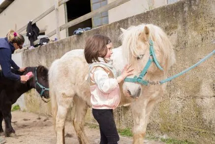 Stage d'équitation