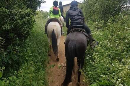 Balades à cheval et à poney