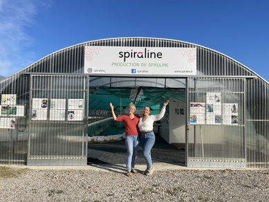 Visite découverte de la spiruline