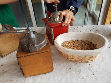 Visite du croissant fertile : du blé au pain