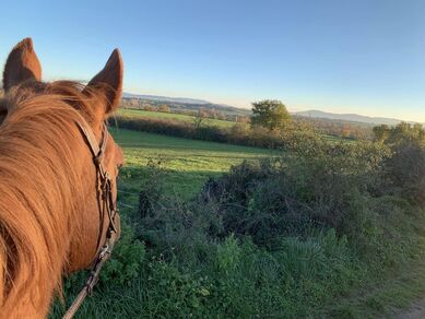 Randonnée accompagnée à cheval - poney