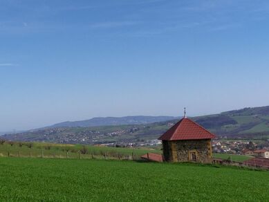 Balade Gourmande n°9 : Les coteaux et prairies de Savigny