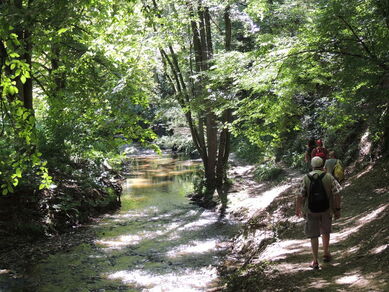 Randonnée guidée au bord du Garon (8,5km)