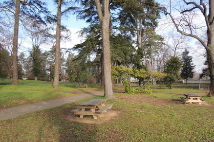 Aire de pique-nique du Parc de Rochilly