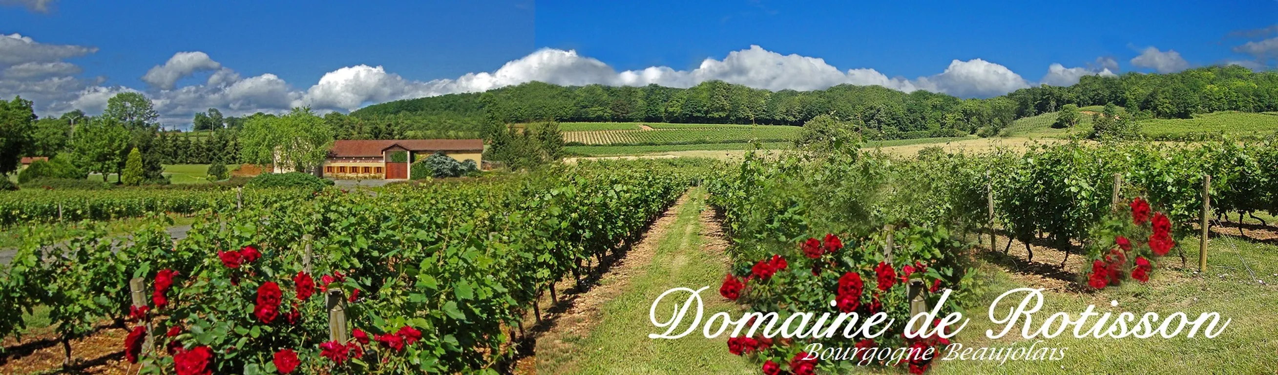 © Domaine de Rotisson