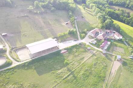 Ferme des Mollières - Ecole d'équitation