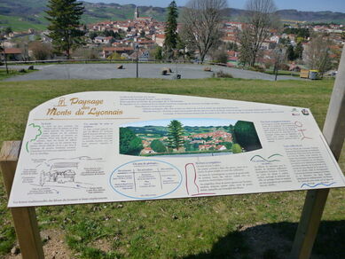 Circuit de randonnée V : Petit tour de St Martin