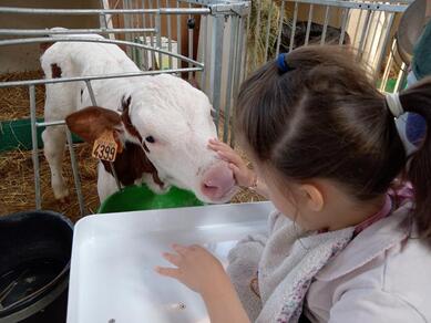 Visite pédagogique de la Ferme du Bonheur