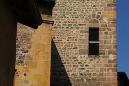 Visite guidée des vestiges de l'abbaye St Martin et de son musée lapidaire