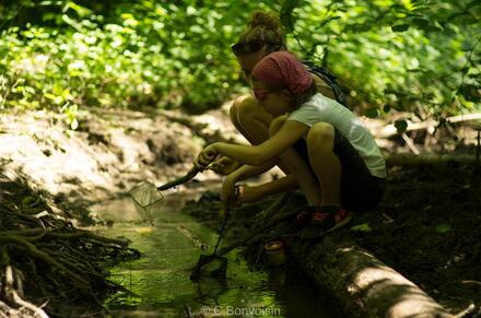Sortie nature : à la découverte des rivières