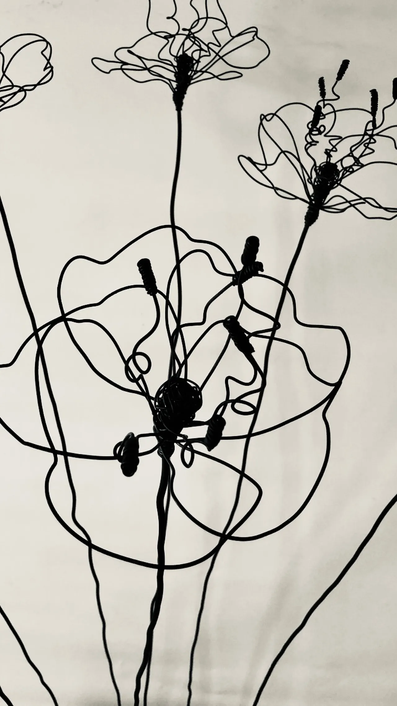 © Crédit Marie-George Sy