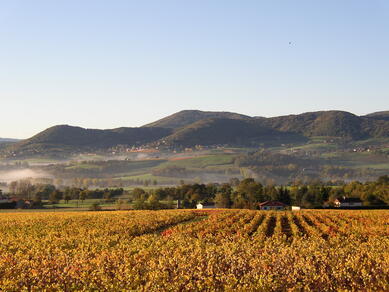 Domaine du crêt de Bine