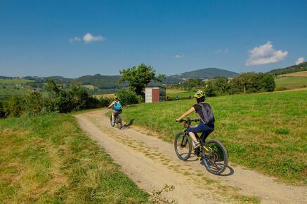 Balade à VTT électrique : Au pays de la cerise