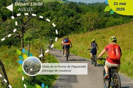 Balade accompagnée en vélo électrique