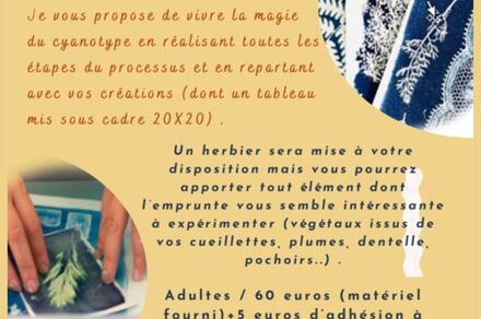 Atelier découverte du cyanotype