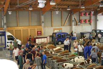 Journée Marché aux veaux et la Neylière
