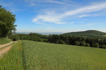 Circuit VTT 73 - Entre Mont Popey et Crêt d'Arjoux