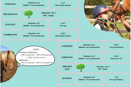 Stages de poneys