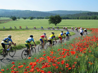 38e Cyclo des chats : route, vtt, marche
