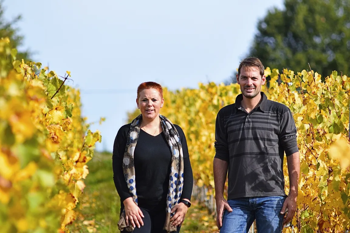 © Domaine des Pampres d'Or