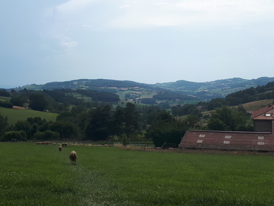 ANNULE - Portes ouvertes la bergerie de Piero et Mano
