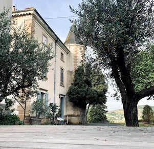 Top Végétal