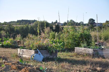 Visite et ateliers au jardin pédagogique (+mini visite de la ferme)